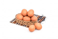 5 Makanan Terbaik untuk Membentuk dan Memperkuat Otot Secara Alami