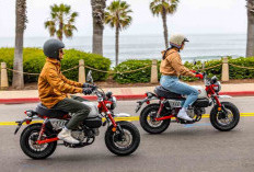 Adu Spesifikasi Honda Monkey 125 vs Kawasaki Z125 Pro, Lebih Pilih Gaya Retro atau Street Modern