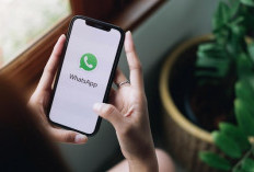 Cara Menggunakan Fitur Share Screen WhatsApp dengan Aman dan Efektif