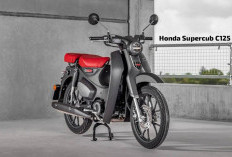 Honda Supercub C125 vs Yamaha Fino 125, Dua Motor Premium Mana Pilihanmu? 