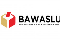 Bawaslu: Meskipun Pelanggaran Ada, Pilkada 2024 Secara Umum Berjalan Baik