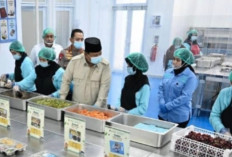 BGN Tindak Tegas! 1.251 SPPG Disanksi, Standar Program Makan Bergizi Gratis Diperketat