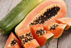 6 Superfoods untuk Mengembalikan Selera Makan yang Hilang