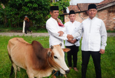 Kadiskominfo Prabumulih Serahkan Hewan Kurban Pemkot di Masjid Babun Ni’mah