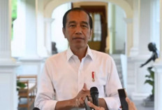 Presiden Jokowi Larang Diskon dan Iklan Susu Formula: Upaya Tingkatkan ASI Eksklusif