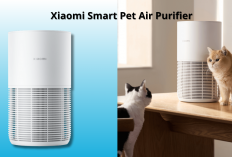 Xiaomi Smart Pet Air Purifier: Hilangkan Bau dan Bulu Hewan, Udara Jadi Lebih Sejuk