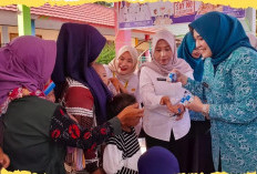 Dukung Kesehatan Ibu dan Anak: TP PKK Prabumulih Intensifkan Kunjungan ke Posyandu