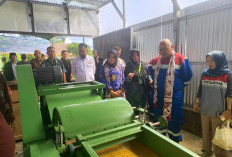 Olah Daun Nanas jadi Staple Fiber