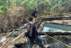Subdit IV Tipidter Ditreskrimsus Polda Jambi Cek Lokasi Tambang Minyak Ilegal di Kawasan Tahura Batanghari