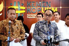 Susu Impor Dominasi Pasar, Peternak Lokal Desak Pemerintah Prioritaskan Produk Dalam Negeri