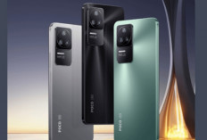 Poco F4 Pro, Performa Kencang dan Kamera Sony IMX686 yang Bikin Foto Makin Tajam