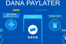 Cara Mudah Cairkan Dana Lewat Fitur PayLater di Aplikasi DANA