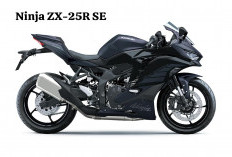 Motor Sport Ikonik Sejak Dulu, Kawasaki Ninja ZX-25R Vs Ninja ZX-25R SE