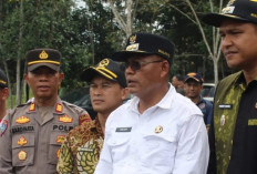 Program 100 Hari Kerja Arlan - Franky: Penggarapan Lahan Gratis Dimulai, Komitmen Dukung Ketahanan Pangan