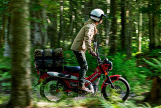 Touring Jadi Lebih Asik, Begini Kelebihan dan Kekurangan Honda CT125