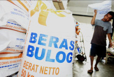 Harga GKP Rp6.500/Kg, Bulog Optimalkan Serapan Panen Raya OKU Timur