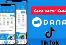 ﻿Sukses Finansial di TikTok, Begini Cara Efektif Mendapatkan Cuan dari Aplikasi Populer Ini