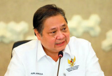 Program Magang Nasional 6 Bulan Bergaji UMP Mulai Oktober 2025