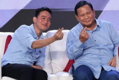 Partai NasDem Tegaskan Pilihan: Tak Masuk Kabinet Prabowo-Gibran