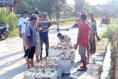 Alhamdulillah, Harga Getah Karet Merangkak Naik 