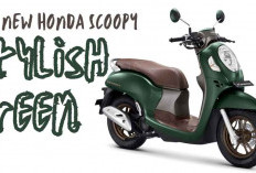 Bikin Terpesona! Simak Sentuhan Modern Honda Scoopy Stylish Green yang Funky dengan Gaya Retro