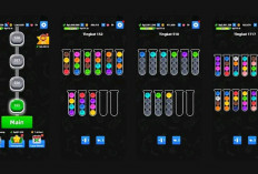 Main Game Ball Sort, Raih Saldo DANA Tanpa Bayar!