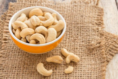 Wajib Tahu! 5 Manfaat Kacang Mete yang Jarang Disadari