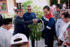 Pertamina EP Tanam 3.600 Pohon di 3 Wilayah Sumsel, Dukung Program Penghijauan Hulu Migas