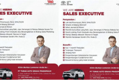 Toyota TAG Prabumulih Buka Lowongan Sales Executive, Fresh Graduate Dipersilakan Melamar