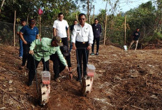 Wali Kota Prabumulih Tanam Jagung di Lahan 1 Hektare, Dorong Ketahanan Pangan dari Lingkungan Rumah