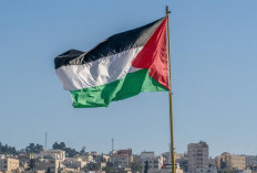 365 Hari Konflik: Derita Palestina Pasca Serangan Israel