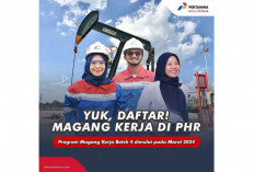 Info Loker! Pertamina Hulu Rokan Buka Program Magang