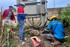 Komplotan Spesialis Trafo - Kabel PLN ULP Prabumulih Masih Gentayangan: Sepekan, Tiga Lokasi Kasus Pencurian 