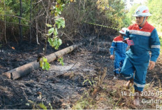 Respons Kilat Pertamina EP Prabumulih, Api di Gunung Raja Padam Kurang dari Satu Jam