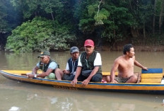 Ikan Mati di Sungai Rambang, Diduga Akibat Limbah Perusahaan: Polisi Turun Tangan