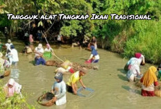 Pesona Tangguk: Alat Tradisional dan Kearifan Suku Rambang yang Menyimpan Sejuta Manfaat 