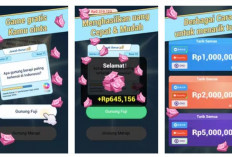 Bermain Kuis dan Dapatkan Saldo DANA! Simak Cara Menggunakan Quiz Win