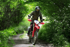 Motor Off Road Tangguh Serba Bisa, Begini Kelebihan dan Kekurangan Honda CRF250L