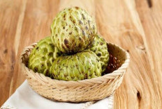 Memberikan Nutrisi Hingga Kesehatan Kulit, Ini 4 Manfaat Buah Srikaya Untuk Kesehatan