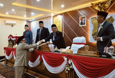 Sampaikan Rekomendasi LKPJ TA 2024, DPRD Kota Prabumulih Minta OPD Tingkatkan Kinerja 