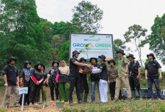 Pulihkan Hutan Bekas Tambang, Aksi Nyata Kelompok Tani Selamatkan Lingkungan Bersama BRI Menanam-Grow & Green