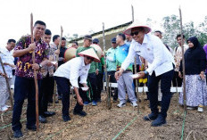 Tanam Jagung di Desa Talang Batu, Pemkot Prabumulih Luncurkan Program Ketahanan Pangan 2025