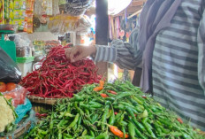 Cabai Tembus Rp100 Ribu, Ibu Rumah Tangga Pilih Masakan Tanpa Pedas