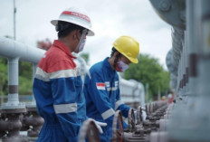 PEP Zona 4 Sukses Reaktivasi Sumur LBK-29, Produksi Tembus 552 BOPD
