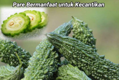 9 Manfaat Pare, Bisa untuk Kulit hingga Ruam