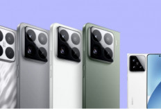 Xiaomi 15 vs 15 Pro, Duel Smartphone Flagship dengan Teknologi OLED