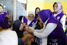 Posyandu Garda Terdepan Kesehatan Ibu dan Anak, TP PKK Prabumulih Kunjungi Posyandu - PAUD