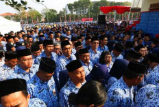 BKN Sebut 91.455 PNS Pusat Sudah Dipetakan Kompetensi, Instansi Daerah Nihil