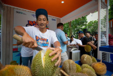 Kelompok Petani Durian di Pekalongan Makin Berkembang Berkat Pemberdayaan BRI