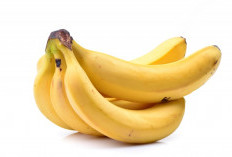 5 Makanan yang Bikin Kenyang Lebih Lama, Cocok untuk Kamu yang Sedang Diet
